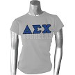 Delta Sigma Chi Greek Letter T-Shirt 