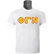 Phi Gamma Nu T-Shirt 