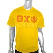 Theta Chi Psi Greek Letter T-Shirt 